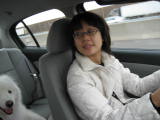  - November 2006